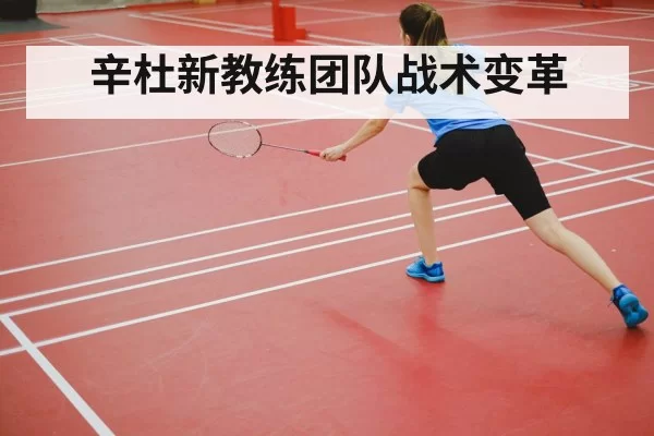 辛杜新教练团队战术变革