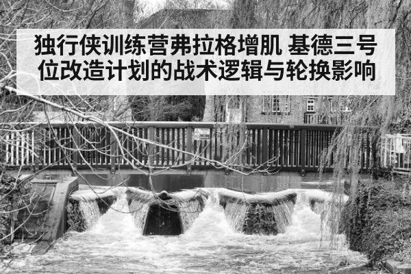 独行侠训练营弗拉格增肌 基德三号位改造计划的战术逻辑与轮换影响
